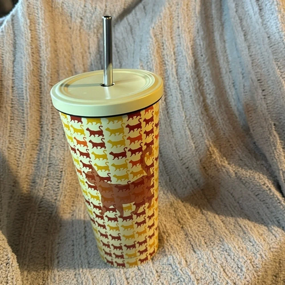 Cat Lady Box Orange Cat Stainless Steel Tumbler-Hot or Cold-Metal Straw Included
